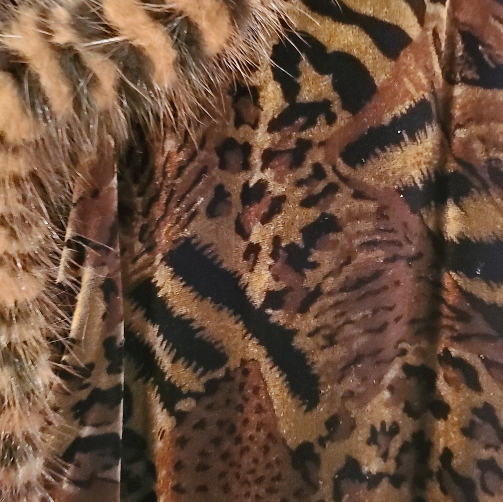 Animal Print Cape - Picture 2 of 4